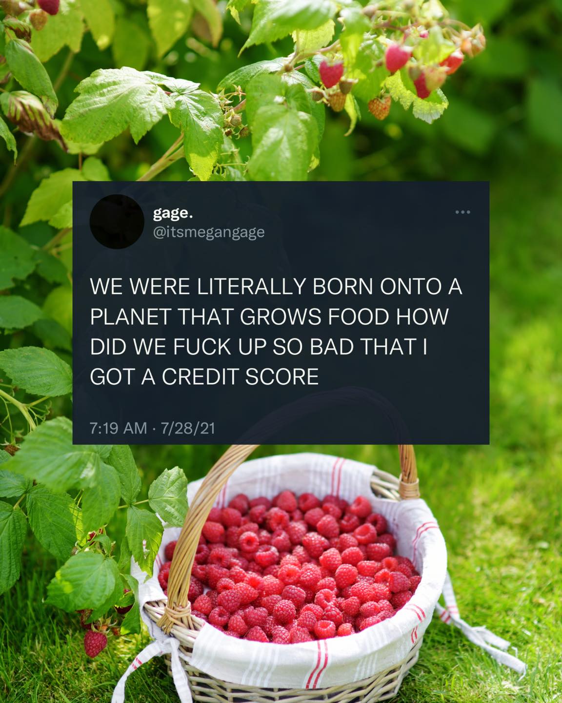 The meme is a humorous tweet that expresses frustration with the idea that humans were born on a planet that has a perfect environment for growing food, yet they still have to deal with financial issues and have a bad credit score. The text reads: "We were born on a planet that can grow food in every direction, and we're still f**king up so bad that I got a credit score."